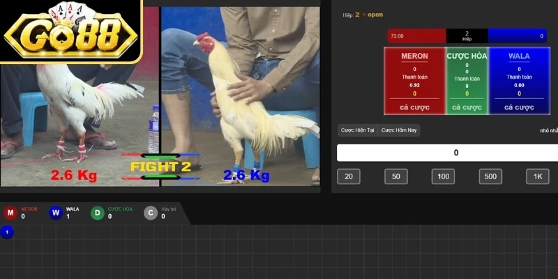Mẹo chơi đá gà thắng lớn