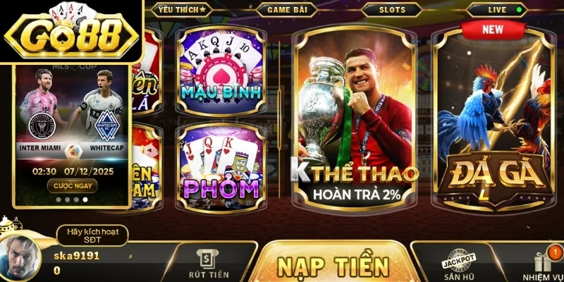 Giới thiệu về sảnh thể thao